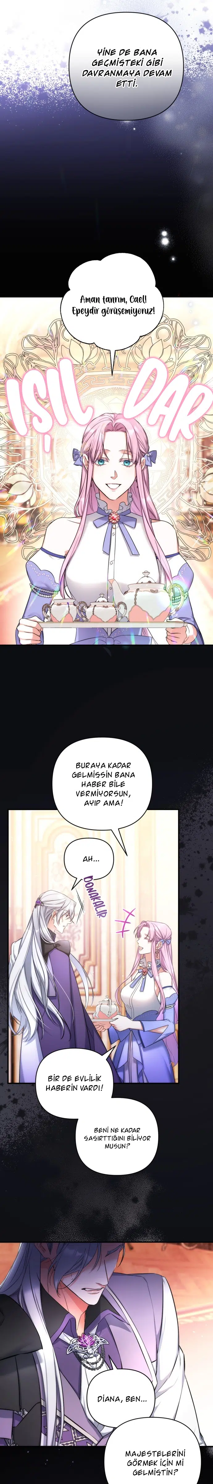 Sahipsiz Gözdem - Bölüm 28 Sayfa 15