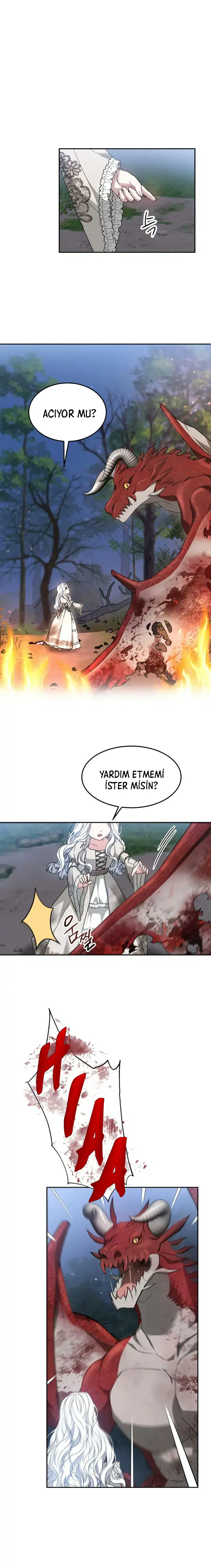 Ejder Kral’ın Eşi - Bölüm 1 Sayfa 10