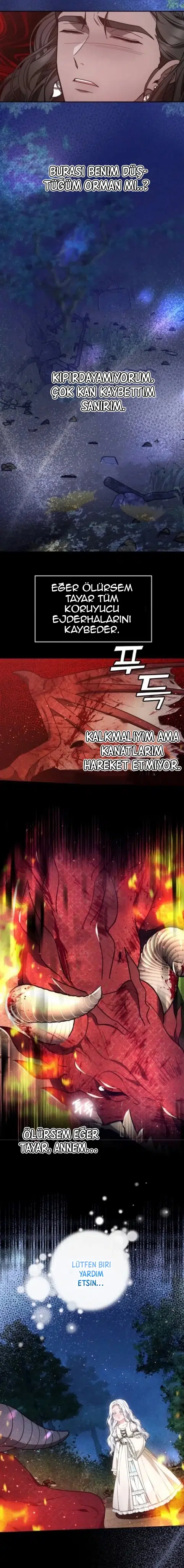 Ejder Kral’ın Eşi - Bölüm 25 Sayfa 14