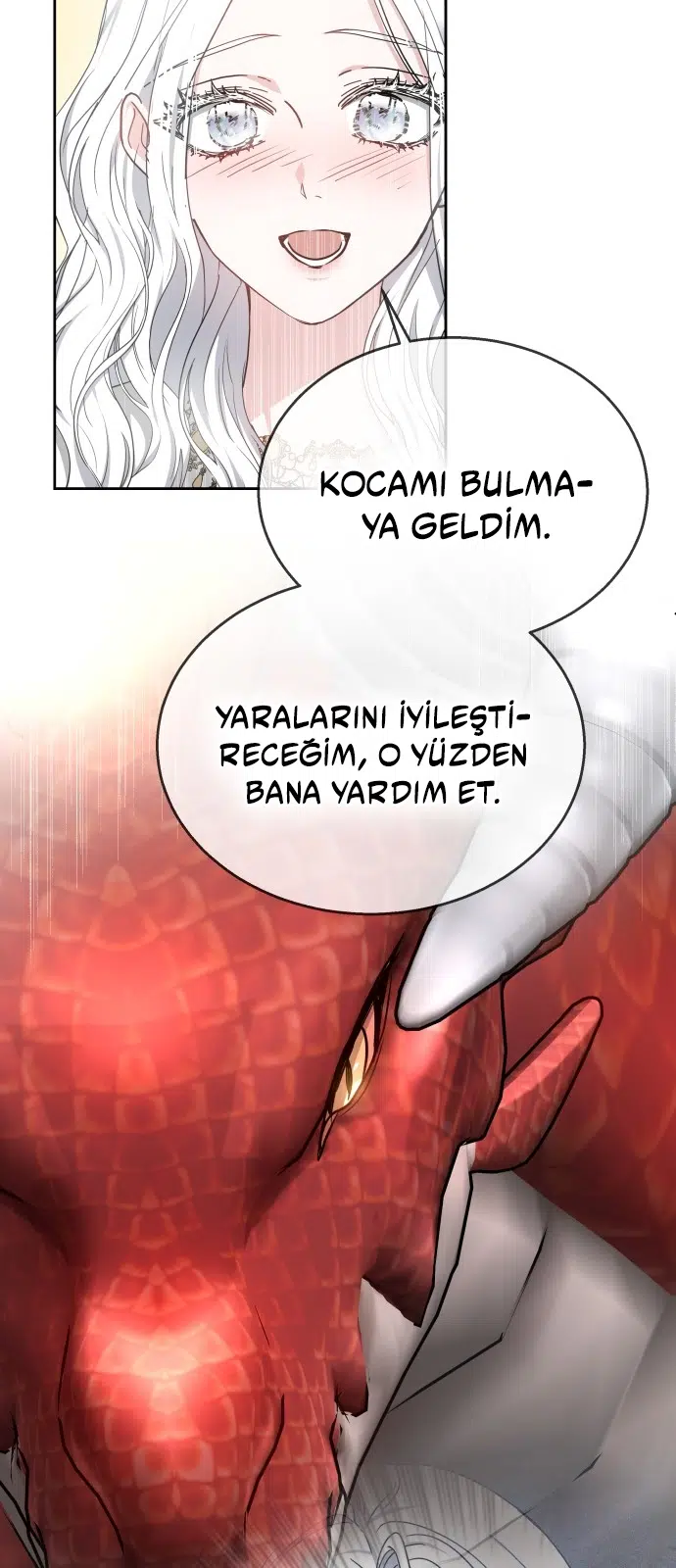 Ejder Kral’ın Eşi - Bölüm 42 Sayfa 14