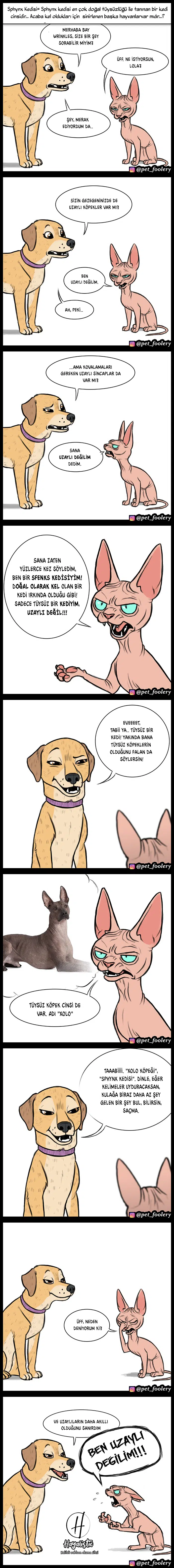 Pixie ve Brütüs - Bölüm 7 Sayfa 2