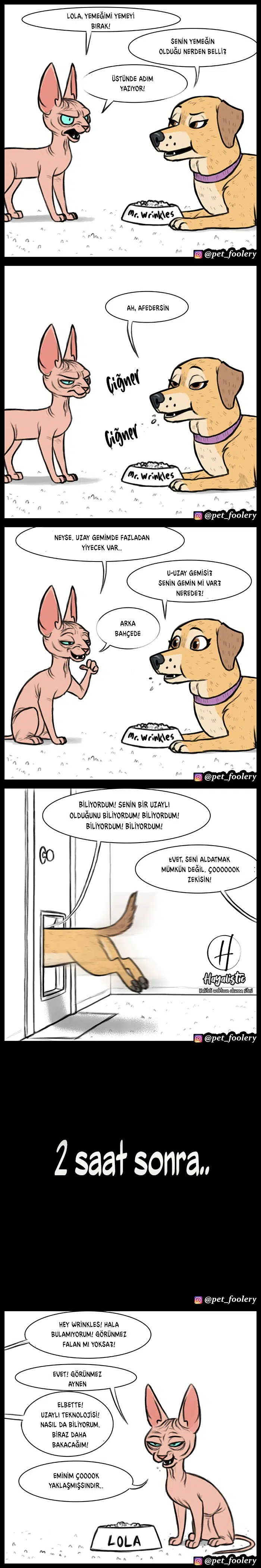 Pixie ve Brütüs - Bölüm 9 Sayfa 2