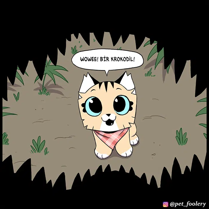 Pixie ve Brütüs - Bölüm 100 Sayfa 4