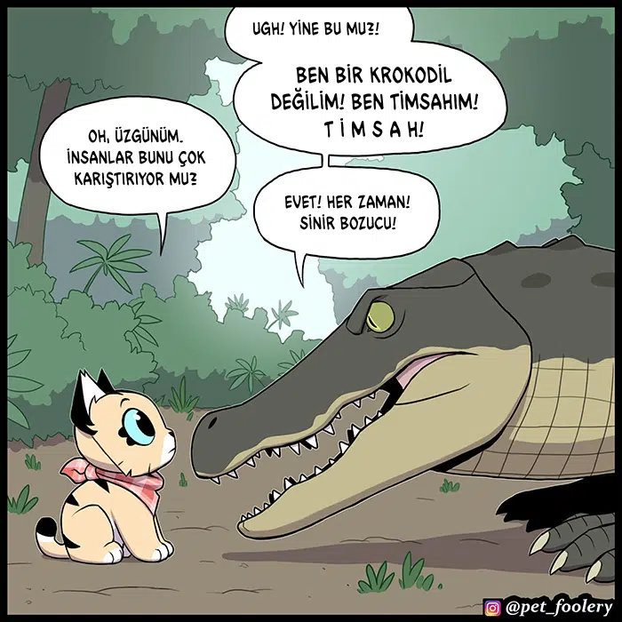 Pixie ve Brütüs - Bölüm 100 Sayfa 5