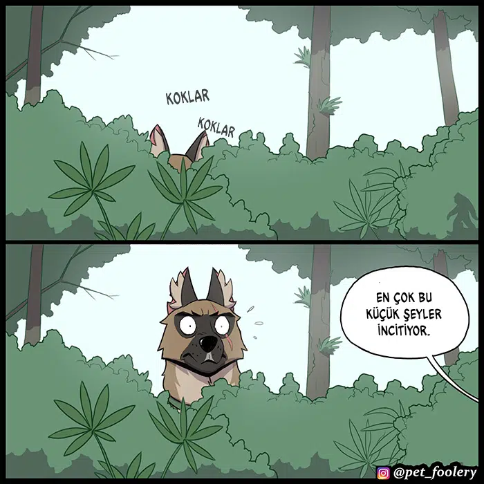 Pixie ve Brütüs - Bölüm 100 Sayfa 7