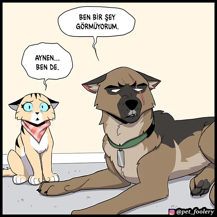 Pixie ve Brütüs - Bölüm 102 Sayfa 8