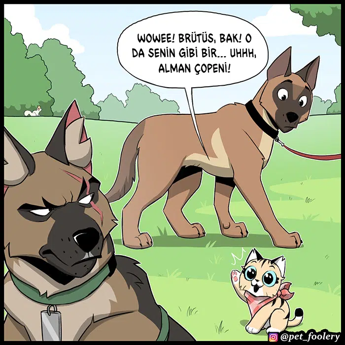 Pixie ve Brütüs - Bölüm 103 Sayfa 2