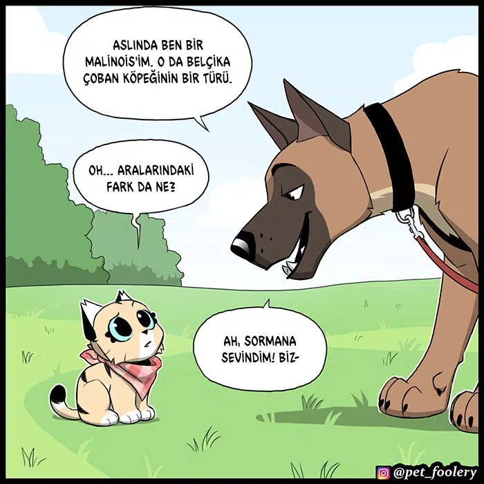 Pixie ve Brütüs - Bölüm 103 Sayfa 3