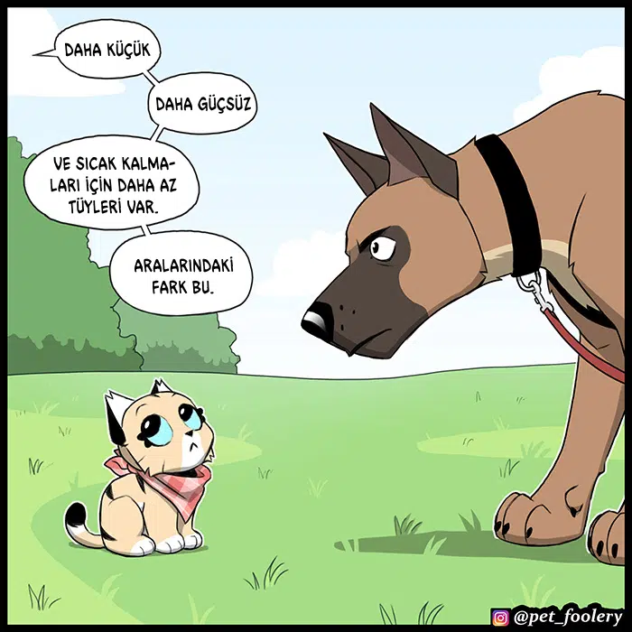 Pixie ve Brütüs - Bölüm 103 Sayfa 4