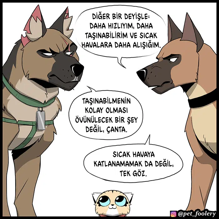 Pixie ve Brütüs - Bölüm 103 Sayfa 5