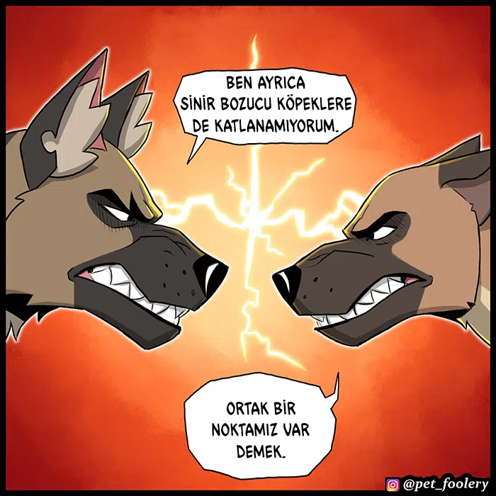 Pixie ve Brütüs - Bölüm 103 Sayfa 6