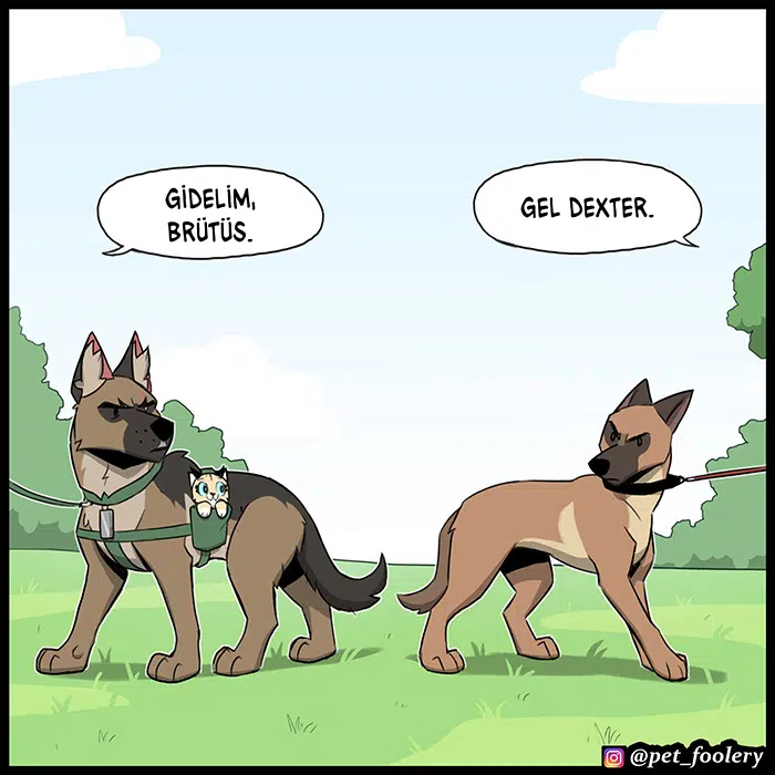 Pixie ve Brütüs - Bölüm 103 Sayfa 7