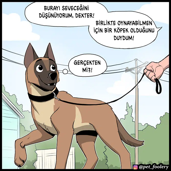 Pixie ve Brütüs - Bölüm 104 Sayfa 2