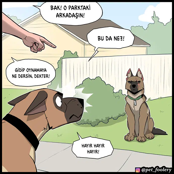 Pixie ve Brütüs - Bölüm 104 Sayfa 3