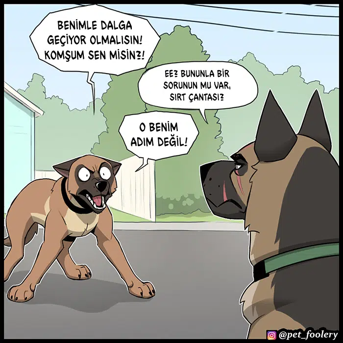 Pixie ve Brütüs - Bölüm 104 Sayfa 4