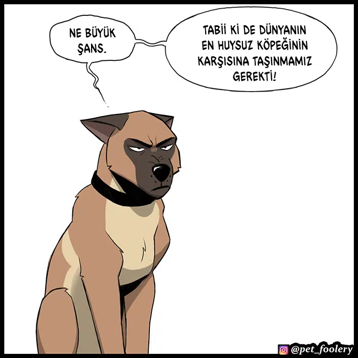 Pixie ve Brütüs - Bölüm 104 Sayfa 5