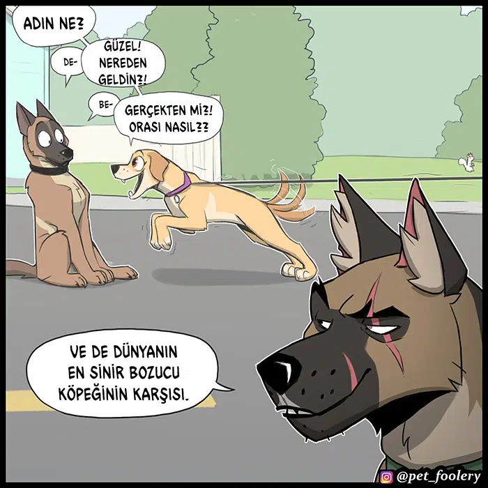 Pixie ve Brütüs - Bölüm 104 Sayfa 7