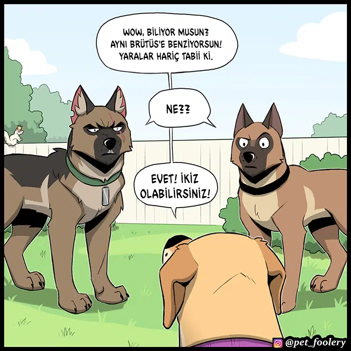 Pixie ve Brütüs - Bölüm 105 Sayfa 2