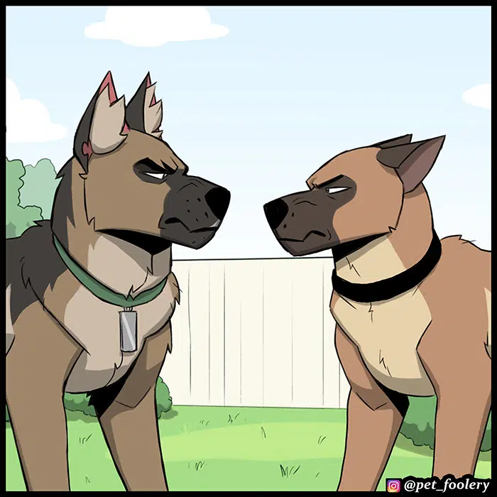 Pixie ve Brütüs - Bölüm 105 Sayfa 4