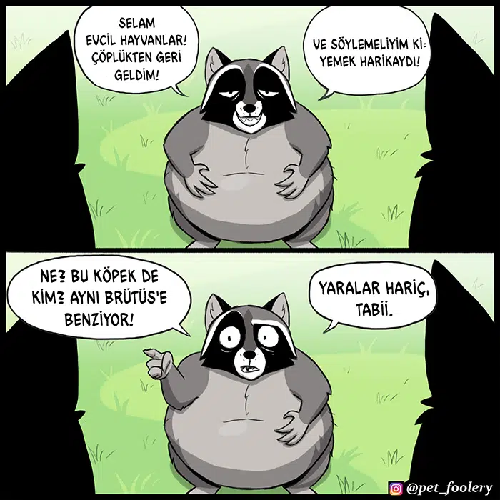 Pixie ve Brütüs - Bölüm 105 Sayfa 6