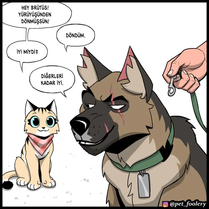 Pixie ve Brütüs - Bölüm 106 Sayfa 2