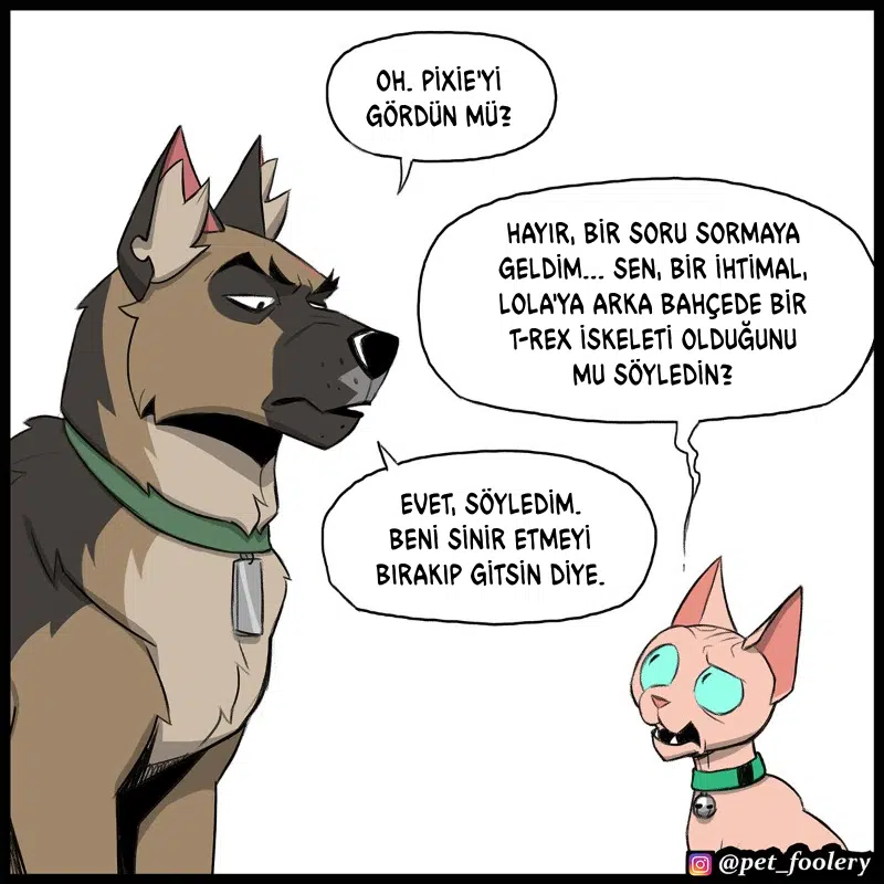Pixie ve Brütüs - Bölüm 109 Sayfa 3