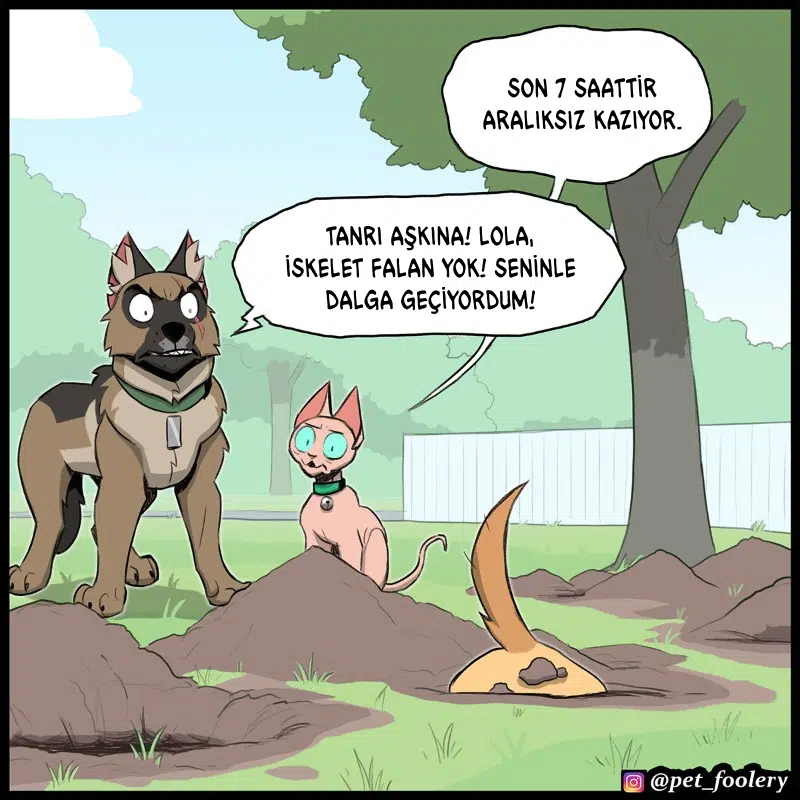 Pixie ve Brütüs - Bölüm 109 Sayfa 5
