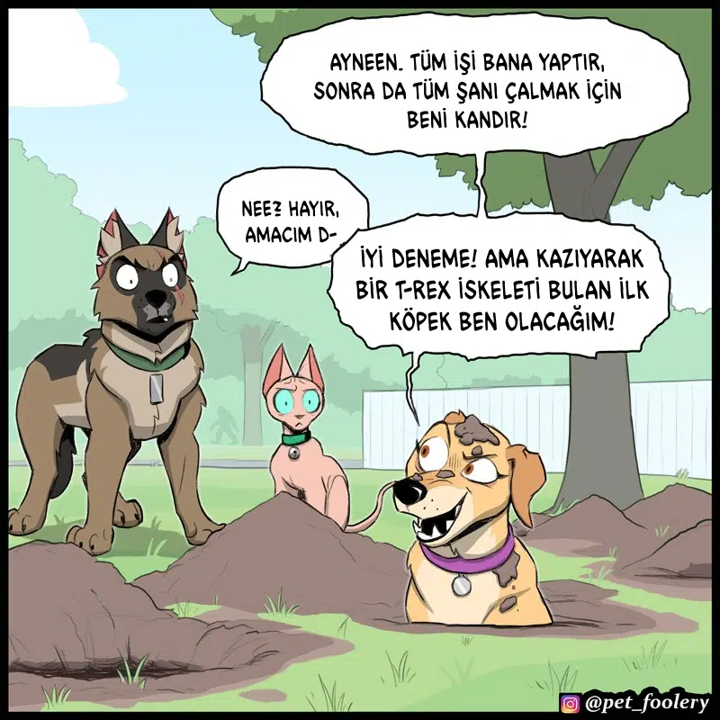 Pixie ve Brütüs - Bölüm 109 Sayfa 6