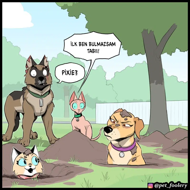 Pixie ve Brütüs - Bölüm 109 Sayfa 7