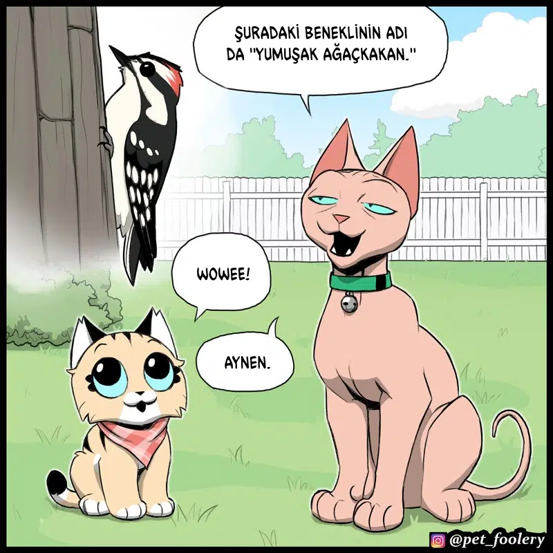 Pixie ve Brütüs - Bölüm 111 Sayfa 2