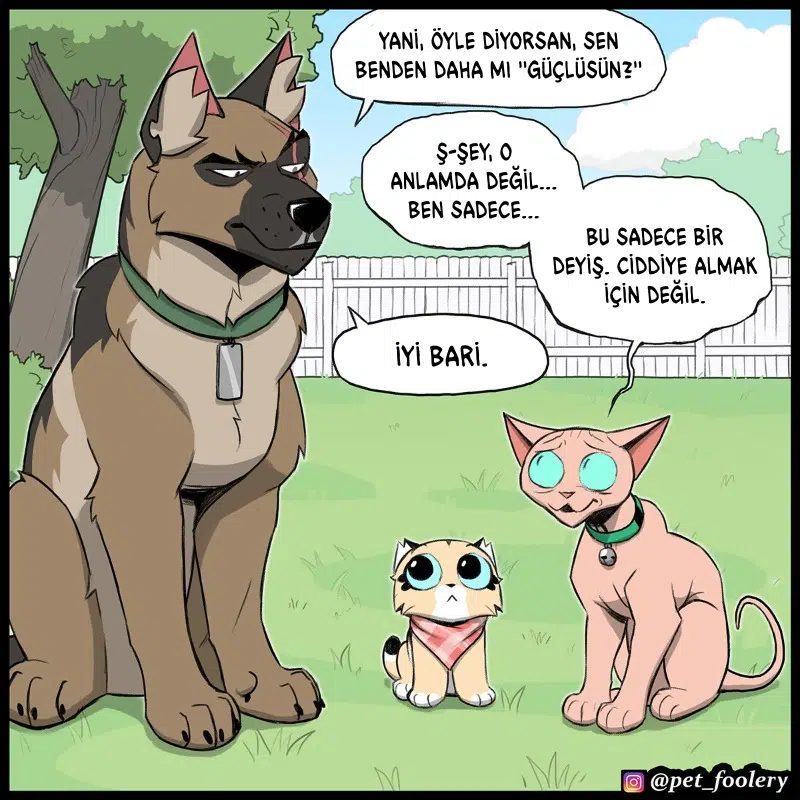 Pixie ve Brütüs - Bölüm 111 Sayfa 5