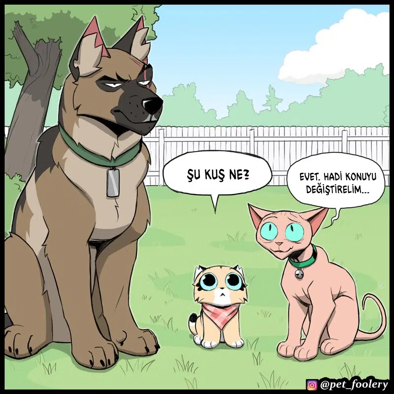Pixie ve Brütüs - Bölüm 111 Sayfa 6