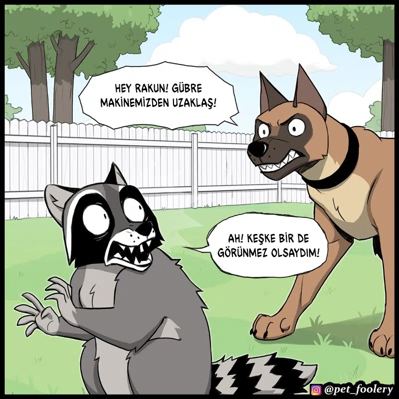 Pixie ve Brütüs - Bölüm 112 Sayfa 6
