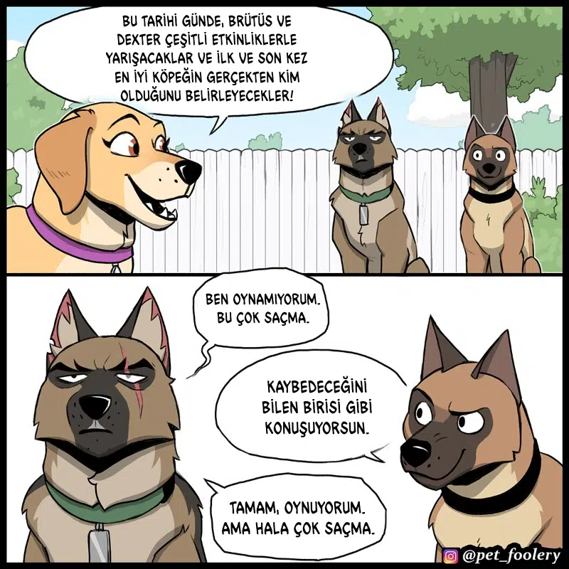 Pixie ve Brütüs - Bölüm 113 Sayfa 2