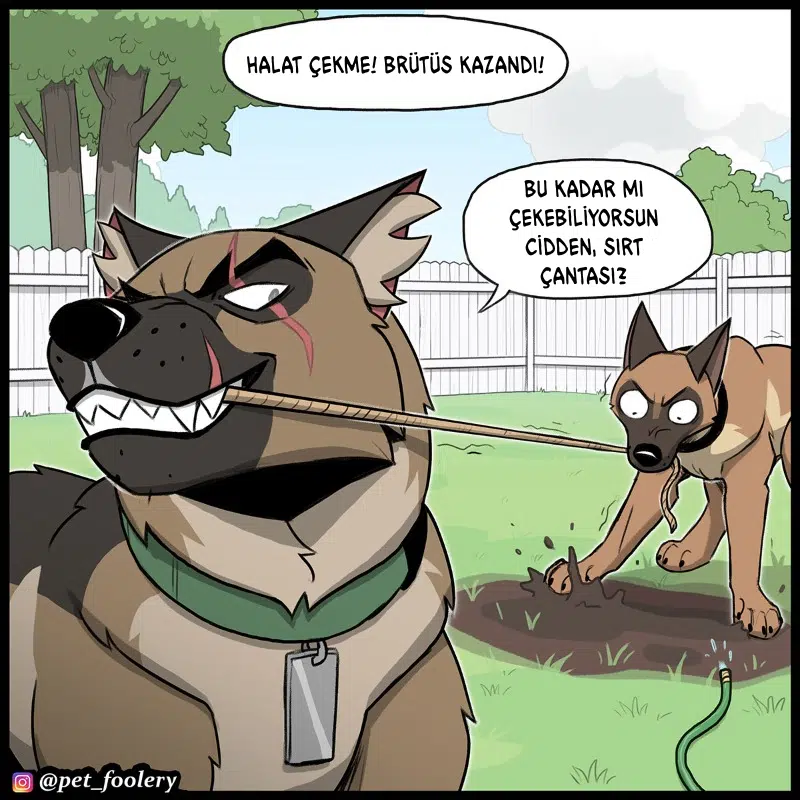 Pixie ve Brütüs - Bölüm 113 Sayfa 3
