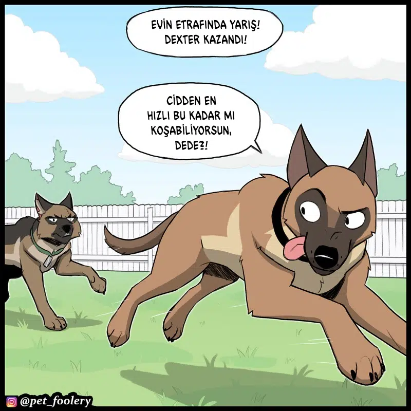 Pixie ve Brütüs - Bölüm 113 Sayfa 4