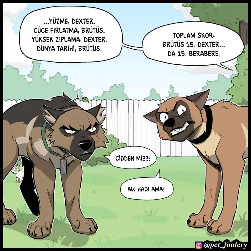 Pixie ve Brütüs - Bölüm 113 Sayfa 7
