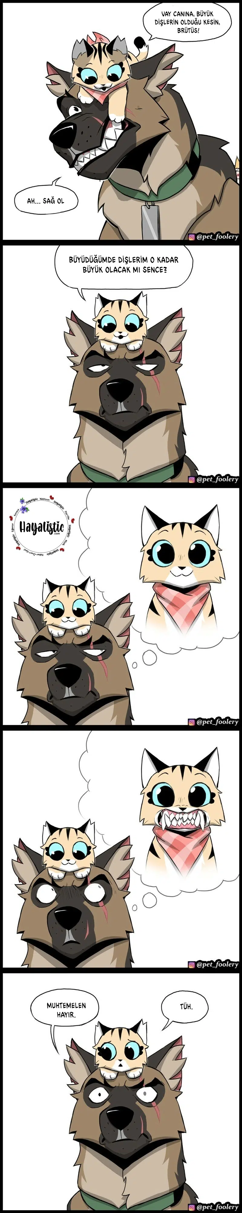 Pixie ve Brütüs - Bölüm 116 Sayfa 2