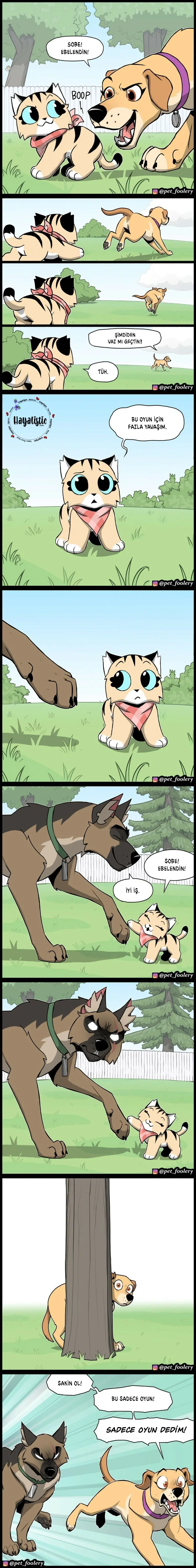 Pixie ve Brütüs - Bölüm 117 Sayfa 2