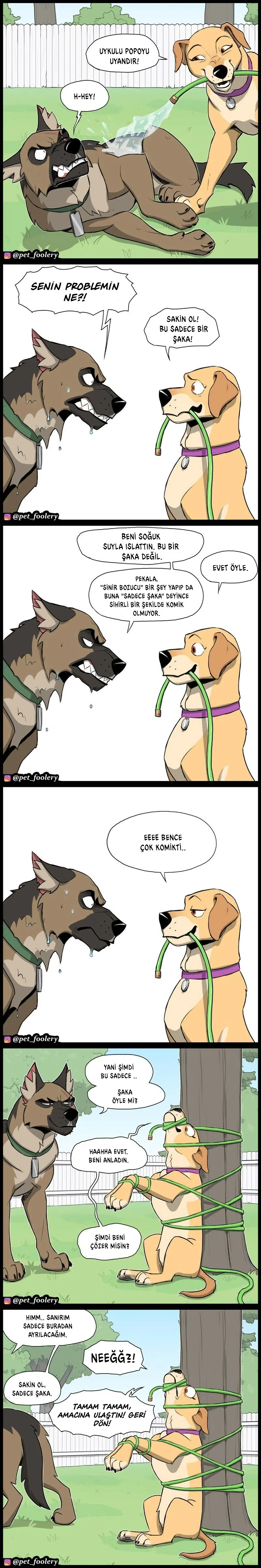 Pixie ve Brütüs - Bölüm 118 Sayfa 2