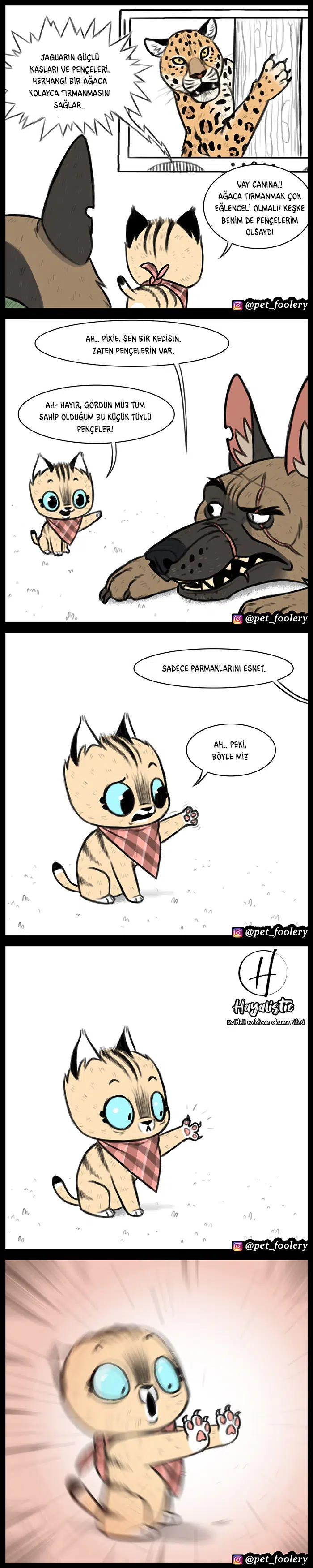 Pixie ve Brütüs - Bölüm 14 Sayfa 2