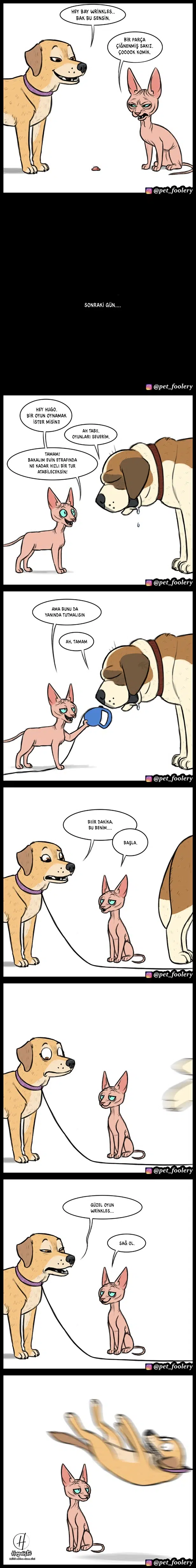 Pixie ve Brütüs - Bölüm 23 Sayfa 2