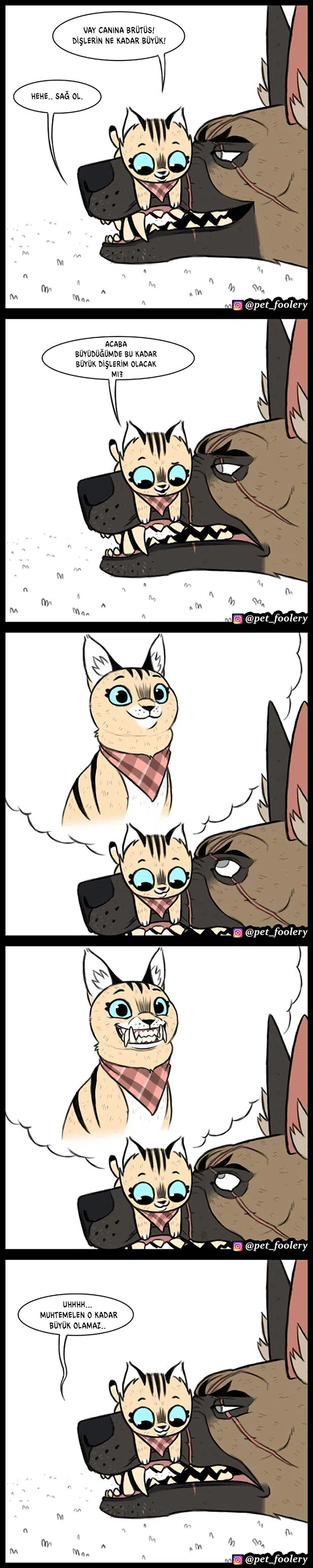 Pixie ve Brütüs - Bölüm 30 Sayfa 2