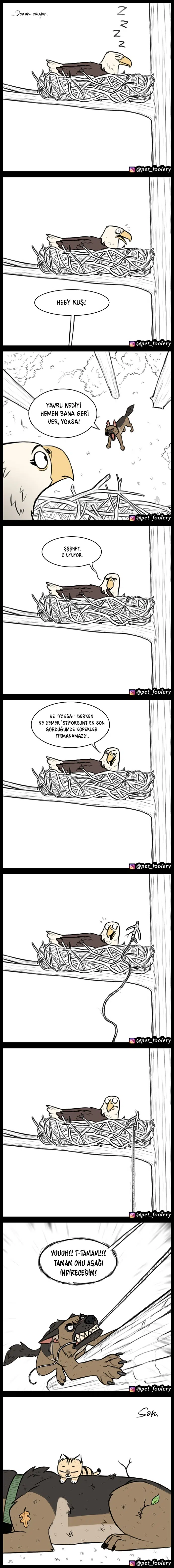 Pixie ve Brütüs - Bölüm 35 Sayfa 2