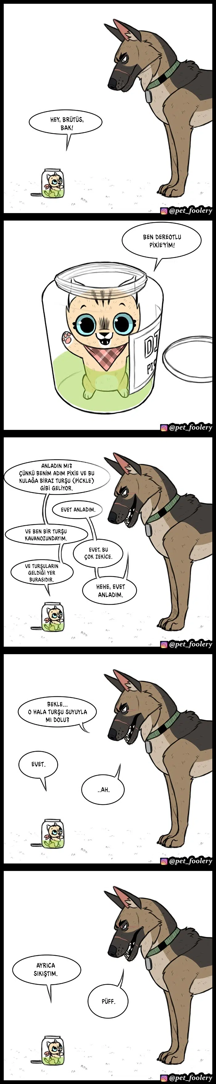 Pixie ve Brütüs - Bölüm 36 Sayfa 2