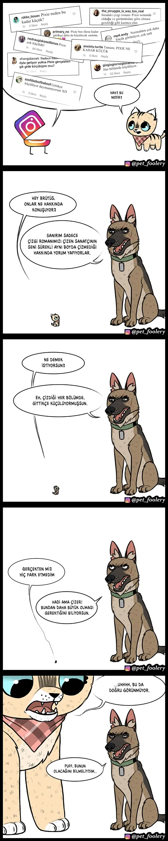 Pixie ve Brütüs - Bölüm 37 Sayfa 2