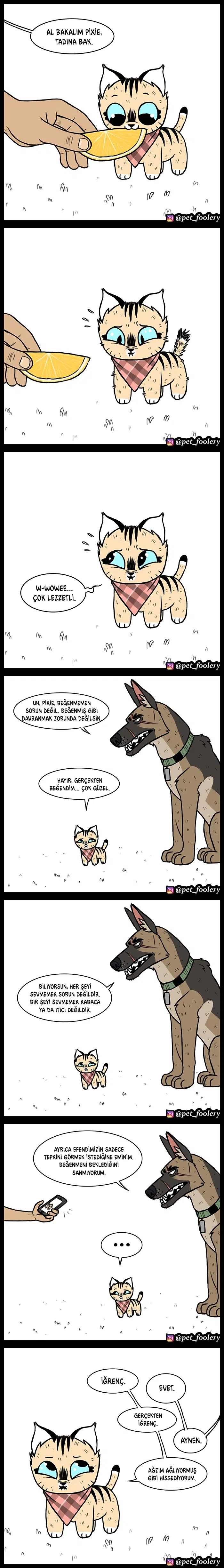 Pixie ve Brütüs - Bölüm 49 Sayfa 2