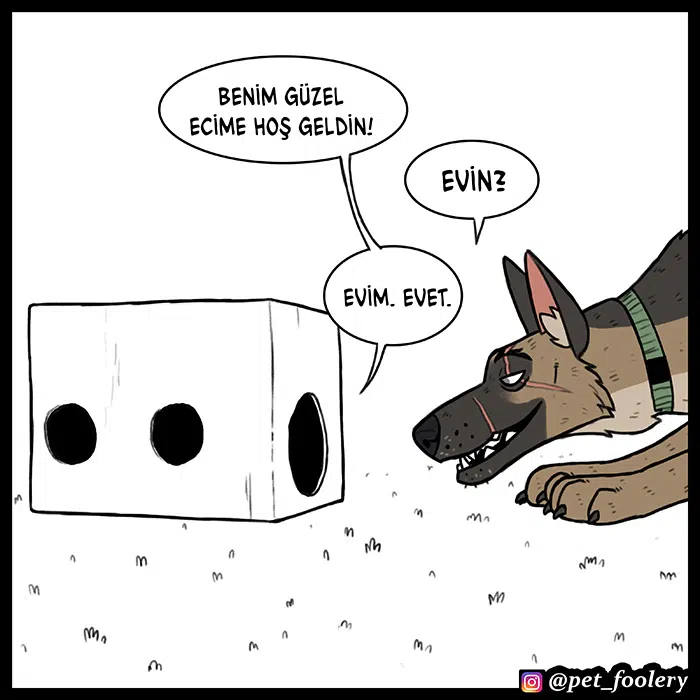 Pixie ve Brütüs - Bölüm 51 Sayfa 2