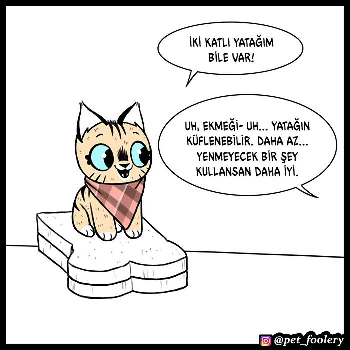 Pixie ve Brütüs - Bölüm 51 Sayfa 5