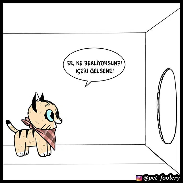 Pixie ve Brütüs - Bölüm 51 Sayfa 6